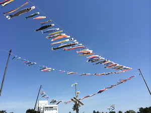 2014-05-04 13.20.01.jpg